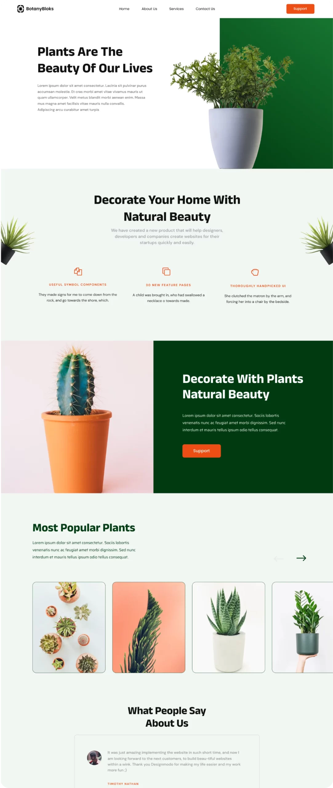 image-65-scaled.webp